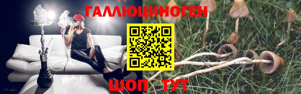 Галлюциногенные грибы Magic Shrooms  хочу наркоту  Вход с VPN  Волхов  Галлюциногенные грибы MAGIC MUSHROOMS 
