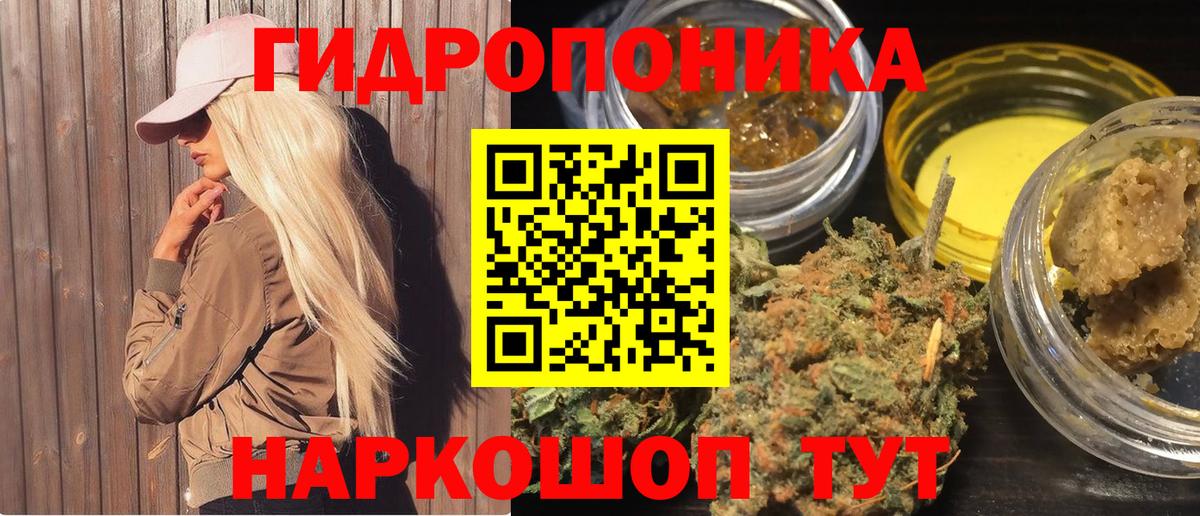 Конопля White Widow  Шишки марихуана White Widow  Волхов  Вход с VPN  Бошки Шишки Amnesia  Конопля Amnesia 